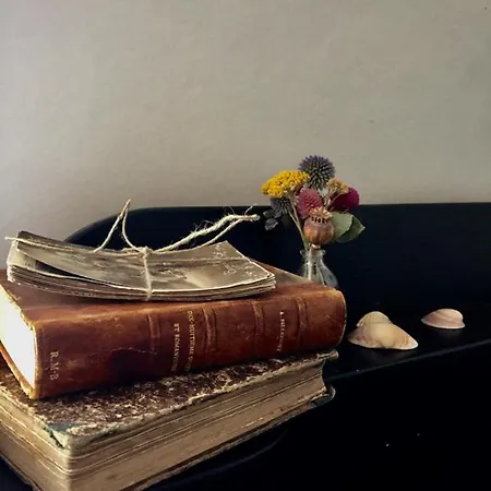 Le Logis Blanc 3* Coursan