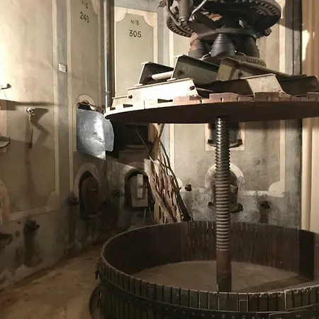 Le Logis Blanc 3* Coursan